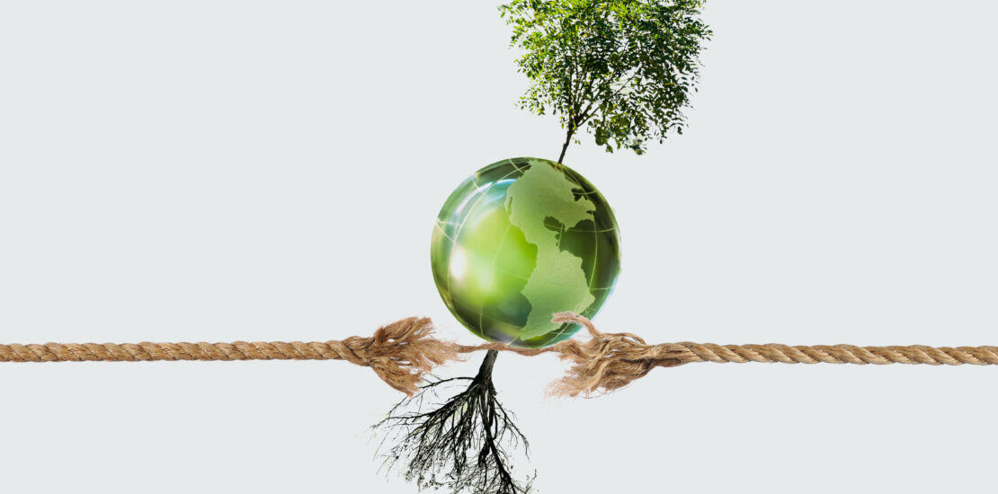 Sustainability Takes Root in IT Channel